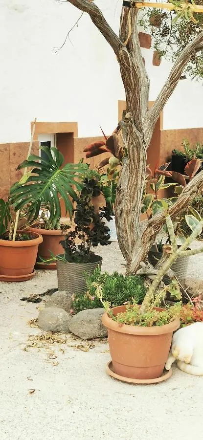 Εξοχικό σπίτι Kikiki House ξενώνας Puerto del Rosario  Ισπανία
